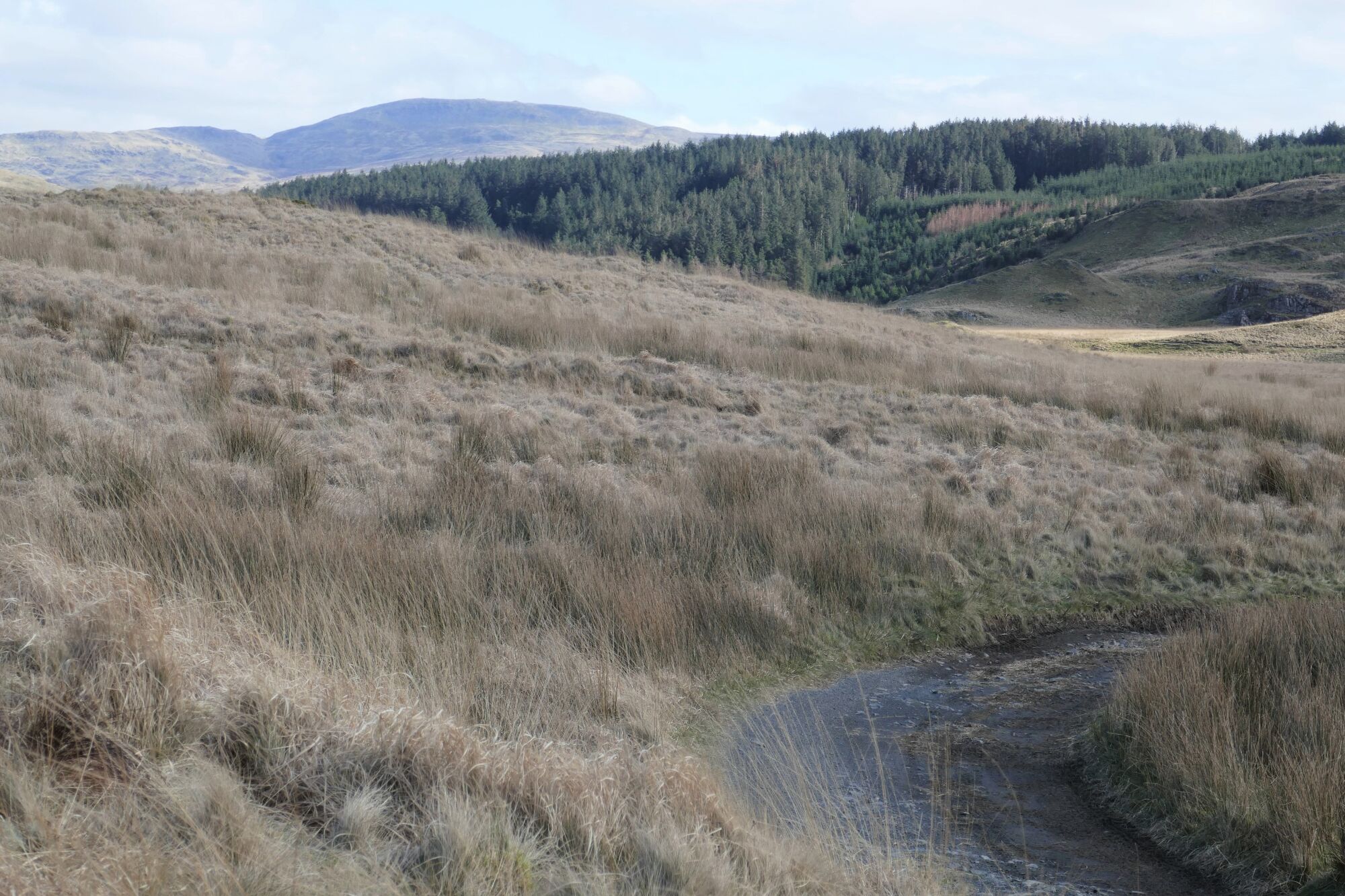 RachelSeabrook.net | Wild Walking | Cwm Cyneiniog and Craig y Pistyll | pic21